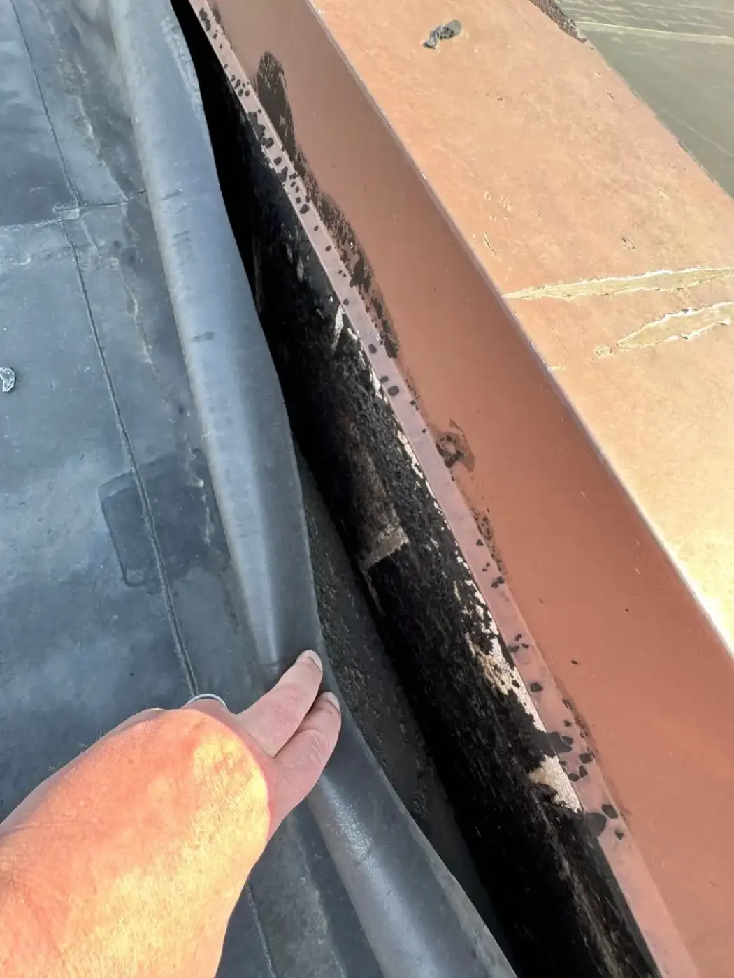 Tarping and dry-in on a College Park commercial roof